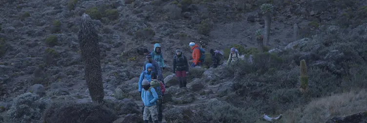 Barranco Camp climb to Karanga valley